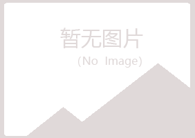 含山县从安化学有限公司